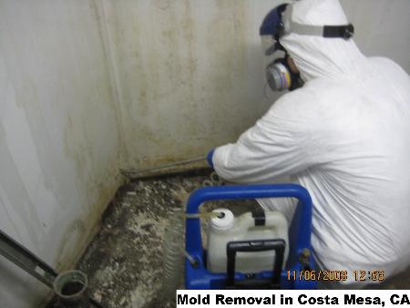 Mold Removal - Costa Mesa, CA 92626 - (888)547-2290 | ShowMeLocal.com