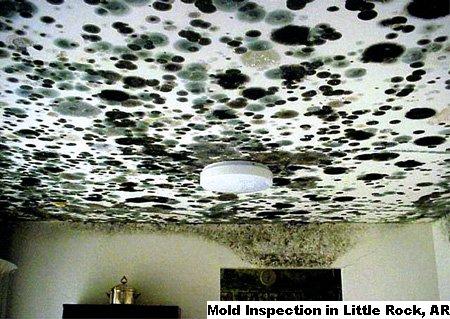 Mold Inspection - Little Rock, AR 72202 - (866)413-4411 | ShowMeLocal.com
