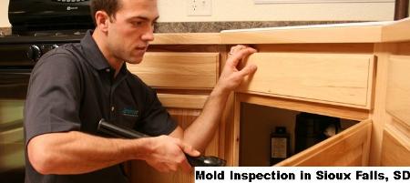 Mold Inspection - Sioux Falls, SD 57103 - (866)413-4411 | ShowMeLocal.com