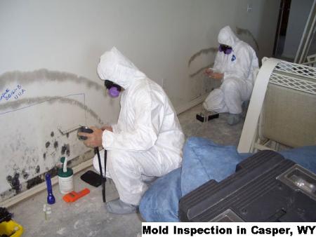 Mold Inspection - Casper, WY 82601 - (866)413-4411 | ShowMeLocal.com