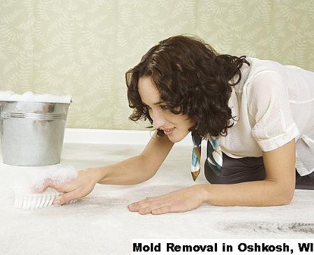 Mold Removal - Oshkosh, WI 54901 - (888)547-2290 | ShowMeLocal.com