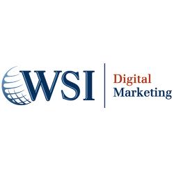 WSI – We Simplify the Internet Mandeville (866)345-8279