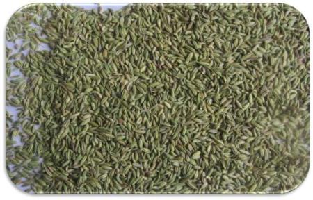 Fennel Seeds Europe Quality Virdhara International Hialeah (972)338-9329