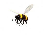 Bat Bee & Hornet Removal Service  - Richmond, VA 23224 - (804)414-0582 | ShowMeLocal.com