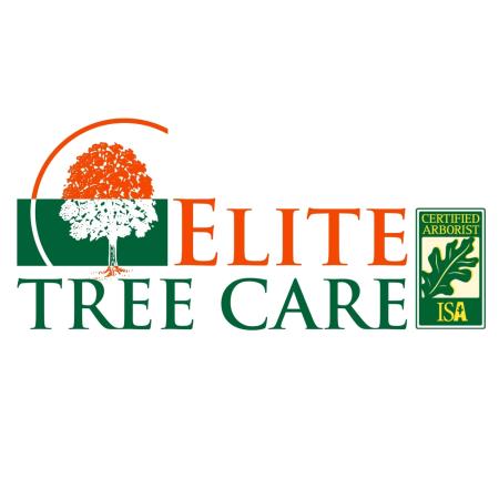 Elite Tree Care Bothell (425)350-6909