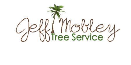 Jeff Mobley Tree Service LLC Saint Augustine (904)540-2167