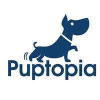 Puptopia - New York, NY 10021 - (347)829-7877 | ShowMeLocal.com