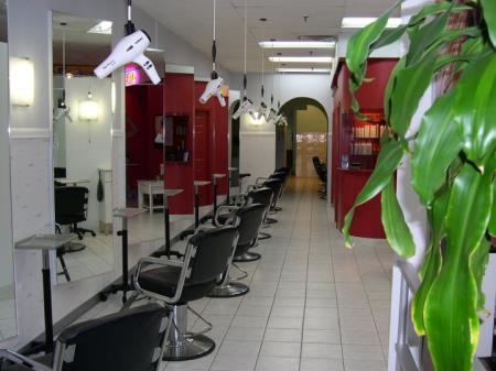 Haircutter in the Meadow - Secaucus, NJ 07094 - (201)863-3900 | ShowMeLocal.com
