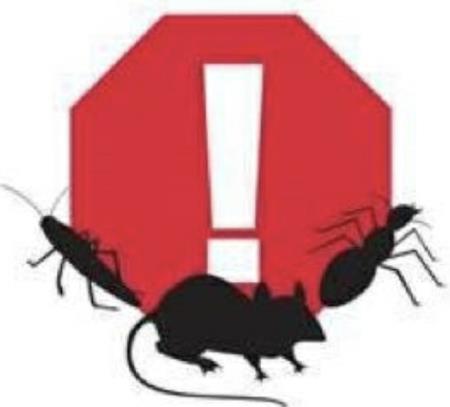 AAA Pest Pros - West Middlesex, PA 16159 - (724)813-3185 | ShowMeLocal.com