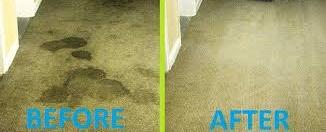 Carpet Cleaning Conroe - Conroe, TX 77305 - (281)310-0857 | ShowMeLocal.com