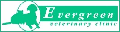 Evergreen Veterinary Clinic - San Jose, CA 95121 - (408)238-0690 | ShowMeLocal.com