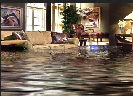 Water Damage Pros Jacksonville - Jacksonville, FL 32210 - (904)513-9641 | ShowMeLocal.com