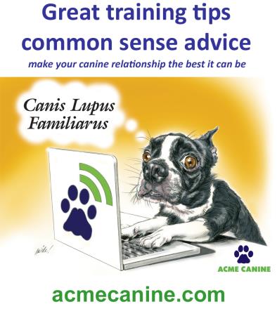Acme Canine - Blacklick, OH 43004 - (614)551-1273 | ShowMeLocal.com