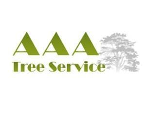 AAA Tree Service NY Corp - New York, NY 11023 - (516)903-1082 | ShowMeLocal.com