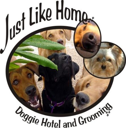 Just Like Home Doggie Hotel And Grooming - Las Vegas, NV 89108 - (702)558-5689 | ShowMeLocal.com