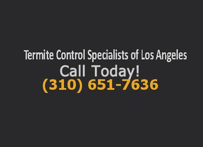 Termite Control Specialists Of Los Angeles - Los Angeles, CA 90022 - (310)651-7636 | ShowMeLocal.com