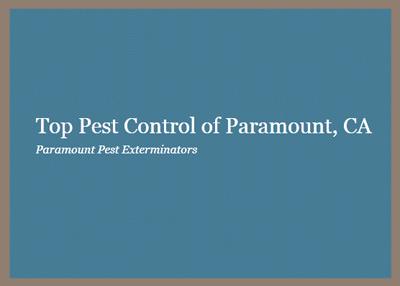 Top Pest Control Of Paramount - Paramount, CA 90723 - (562)645-4527 | ShowMeLocal.com