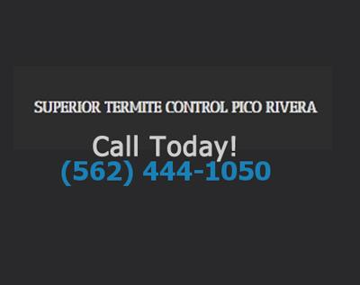 Superior Termite Control Pico Rivera - Pico Rivera, CA 90660 - (562)444-1050 | ShowMeLocal.com