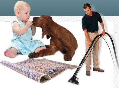 Bellaire Carpet Cleaning - Bellaire, TX 77401 - (281)846-4072 | ShowMeLocal.com