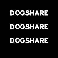 Dogshare - Dog Match Website - Thornbury, VIC 3071 - (03) 8400 4438 | ShowMeLocal.com