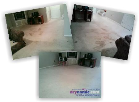Drynamic Carpet & Upholstery Care - Laurel, MD 20723 - (301)725-7747 | ShowMeLocal.com
