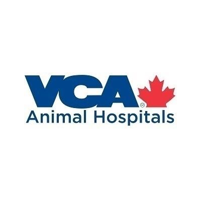 Askey Animal Hospital - Burlington, ON L7N 2R4 - (905)634-9088 | ShowMeLocal.com