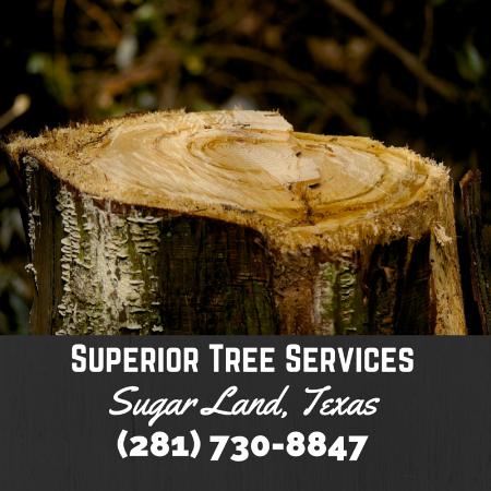 Superior Tree Services Sugar Land, Texas - Sugar Land, TX 77479 - (281)730-8847 | ShowMeLocal.com