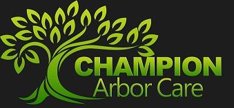 Champion Arbor Care - Irving, TX 75063 - (972)607-3928 | ShowMeLocal.com