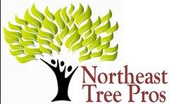 Northeast Tree Pros - Manchester, NH 03103 - (603)317-5276 | ShowMeLocal.com