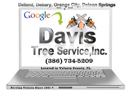 Davis Tree Service, Inc. - Deland, FL 32724 - (386)734-5209 | ShowMeLocal.com
