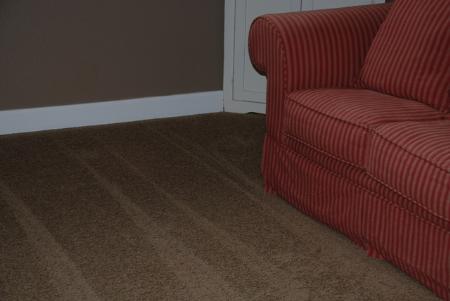 Steam Choice Carpet Care - San Diego, CA 92131 - (619)320-1105 | ShowMeLocal.com