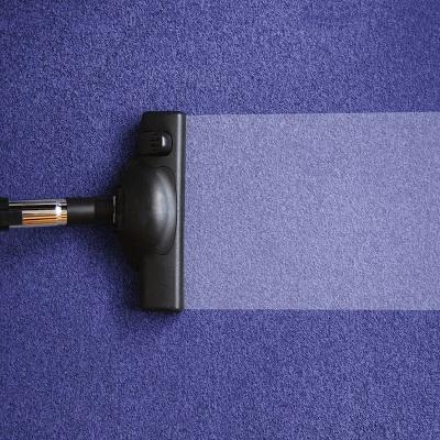 West Babylon Carpet Cleaning Professionals - West Babylon, NY 11704 - (631)532-8661 | ShowMeLocal.com