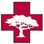 Tree Medics, LLC - Tampa, FL - (813)407-9974 | ShowMeLocal.com