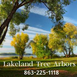 Lakeland Tree Arbors - Lakeland, FL 33809 - (863)225-1118 | ShowMeLocal.com