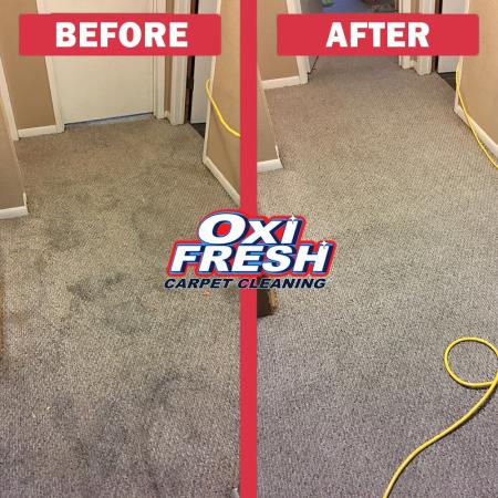 Oxi Fresh Carpet Cleaning Goodyear (480)737-1501