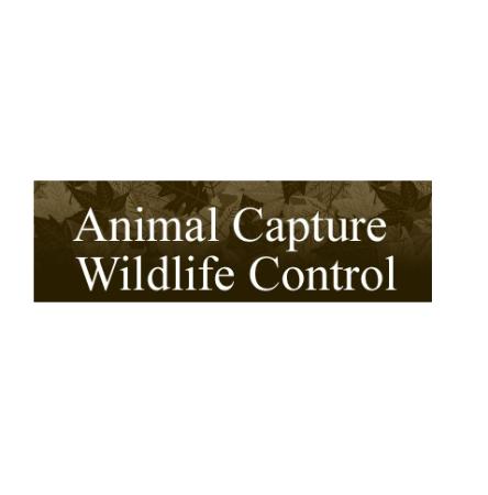 Animal Capture Wildlife Control - Los Angeles, CA 90015 - (310)551-0901 | ShowMeLocal.com