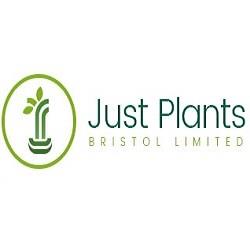 Just Plants Bristol Ltd - Wells, Somerset BA5 1EY - 01749 870705 | ShowMeLocal.com
