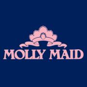 MOLLY MAID Leicester 01858 439925